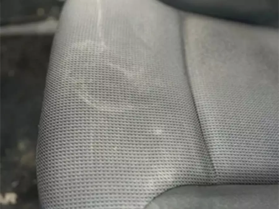 Eliminaci&oacute;n de manchas y cercos blancos en la tapicer&iacute;a de tu veh&iacute;culo
